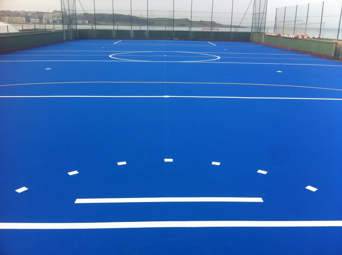 hockey plus